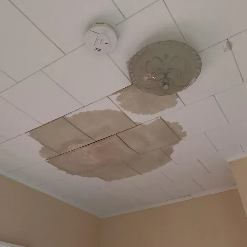 Ceiling Water Damage Repair in Whitehouse, TX